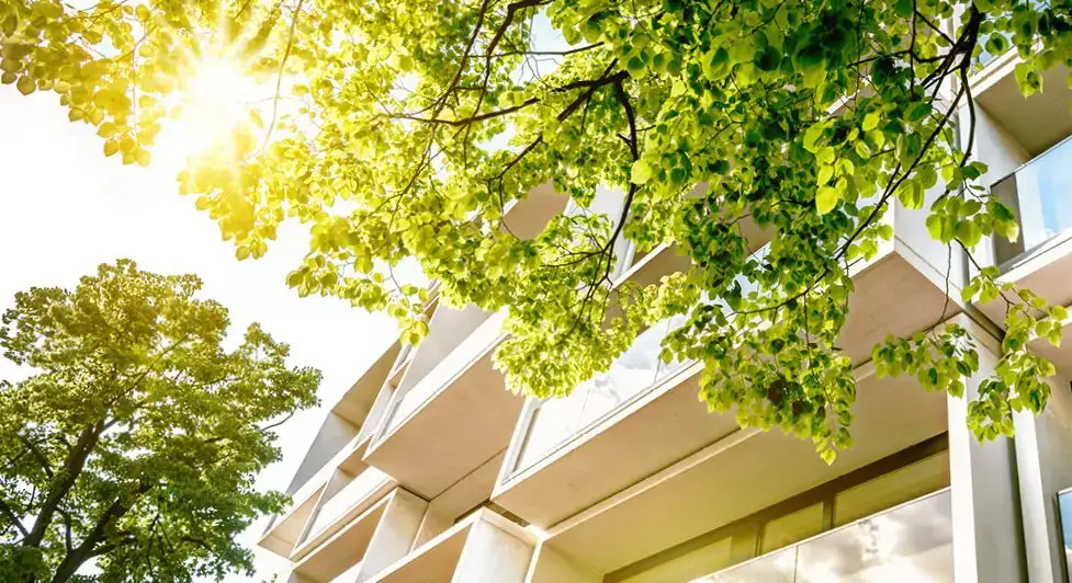 Should Your Financing Make Space for C-PACE?